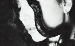 追剧牛人王八影院